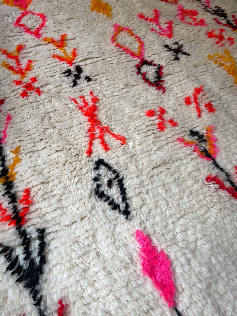 photo_2026-02-21_12-16-11