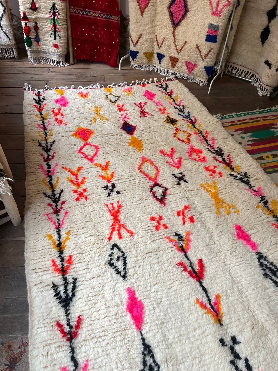 photo_2026-02-21_12-16-12