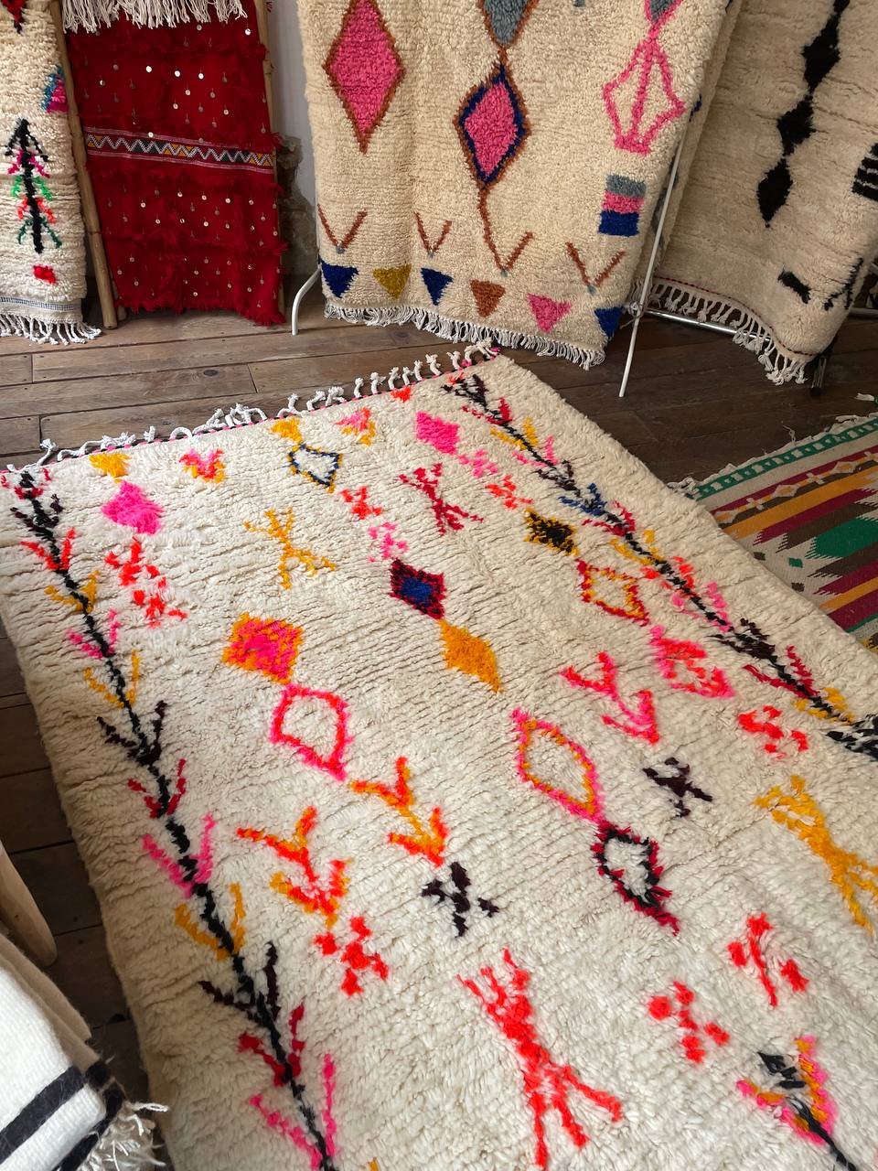 photo_2026-02-21_12-16-13