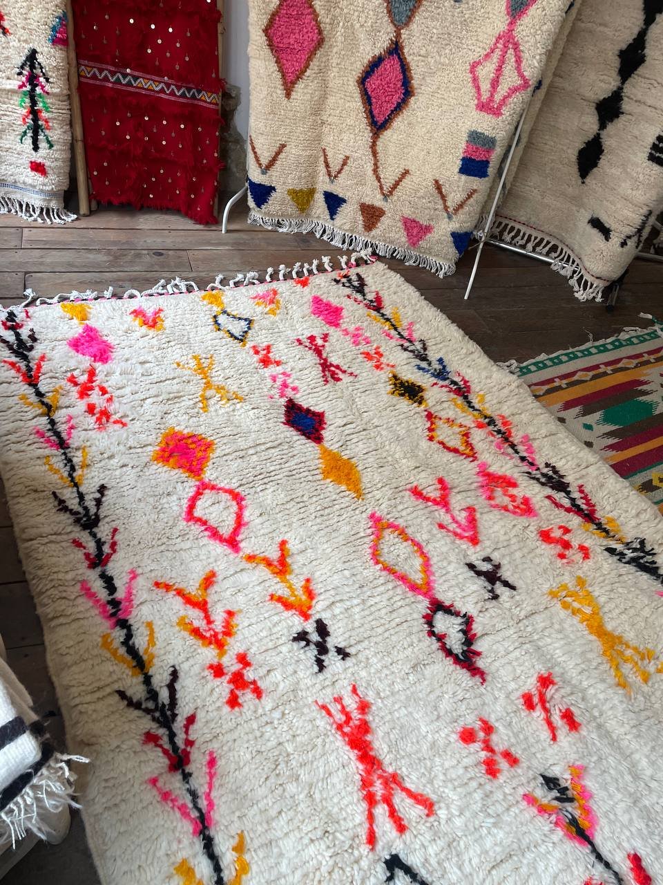 photo_2026-02-21_12-16-14