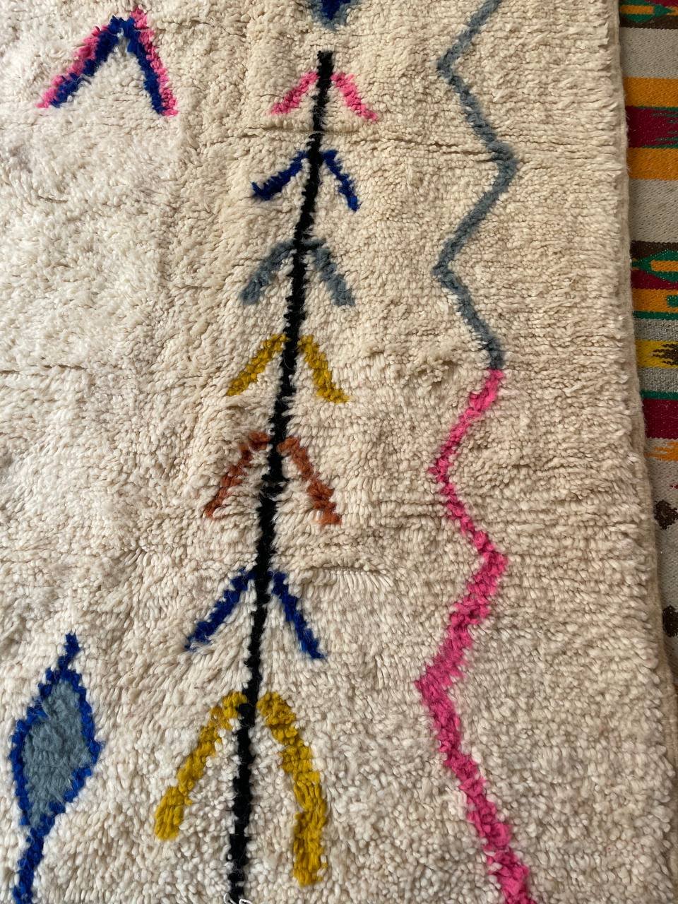 photo_2026-02-21_12-16-19